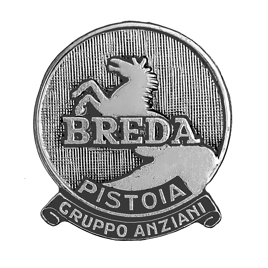 spilla_gruppoanziani.png